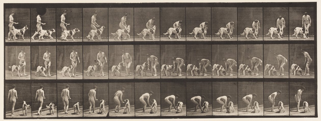 Placa 449. Alimentando um Cachorro de Eadweard Muybridge