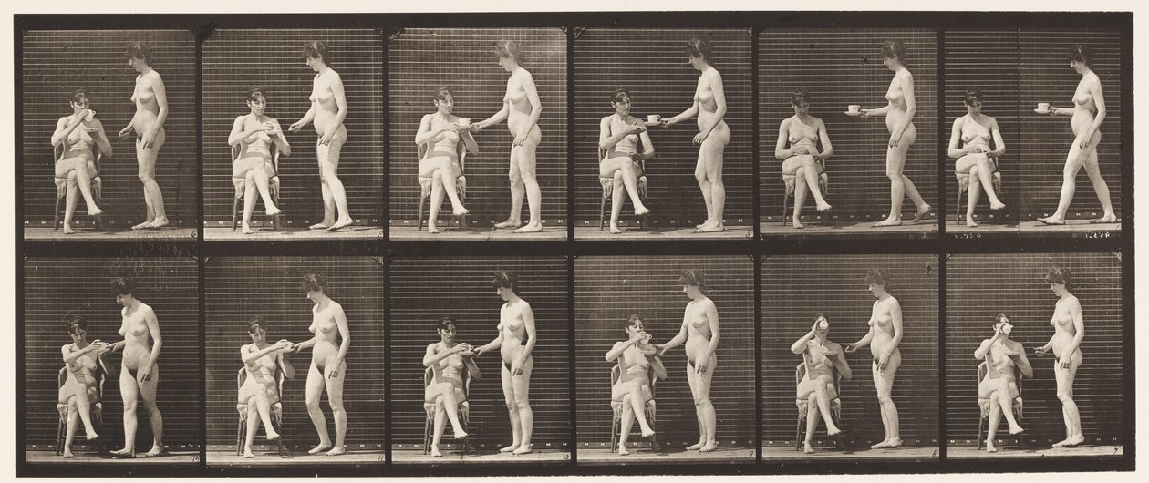 Placa 450. Dois Modelos, 8 Traz Xícara de Chá, 1 Toma Cup & Drinks, 1872-1885 de Eadweard Muybridge