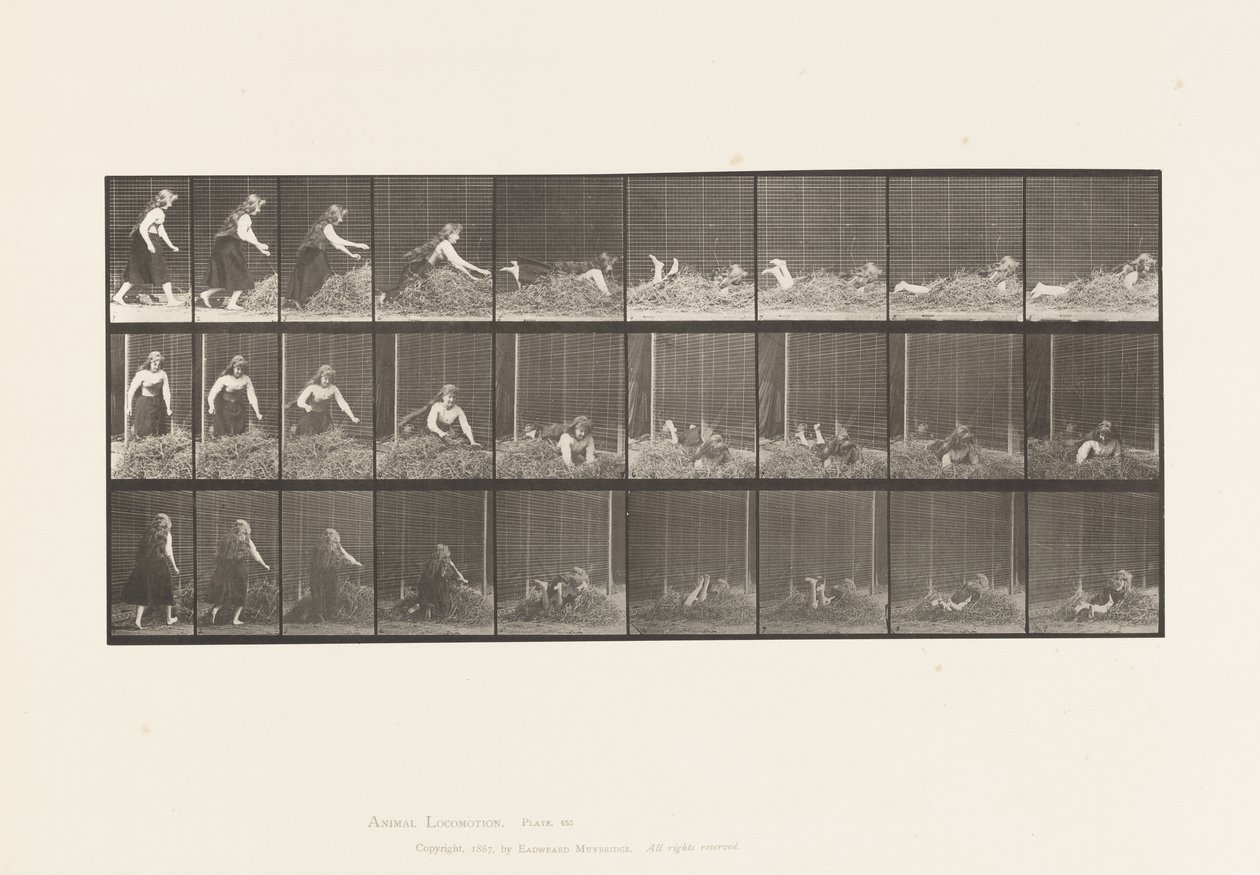Prato 455. Atirando-se no monte de feno de Eadweard Muybridge