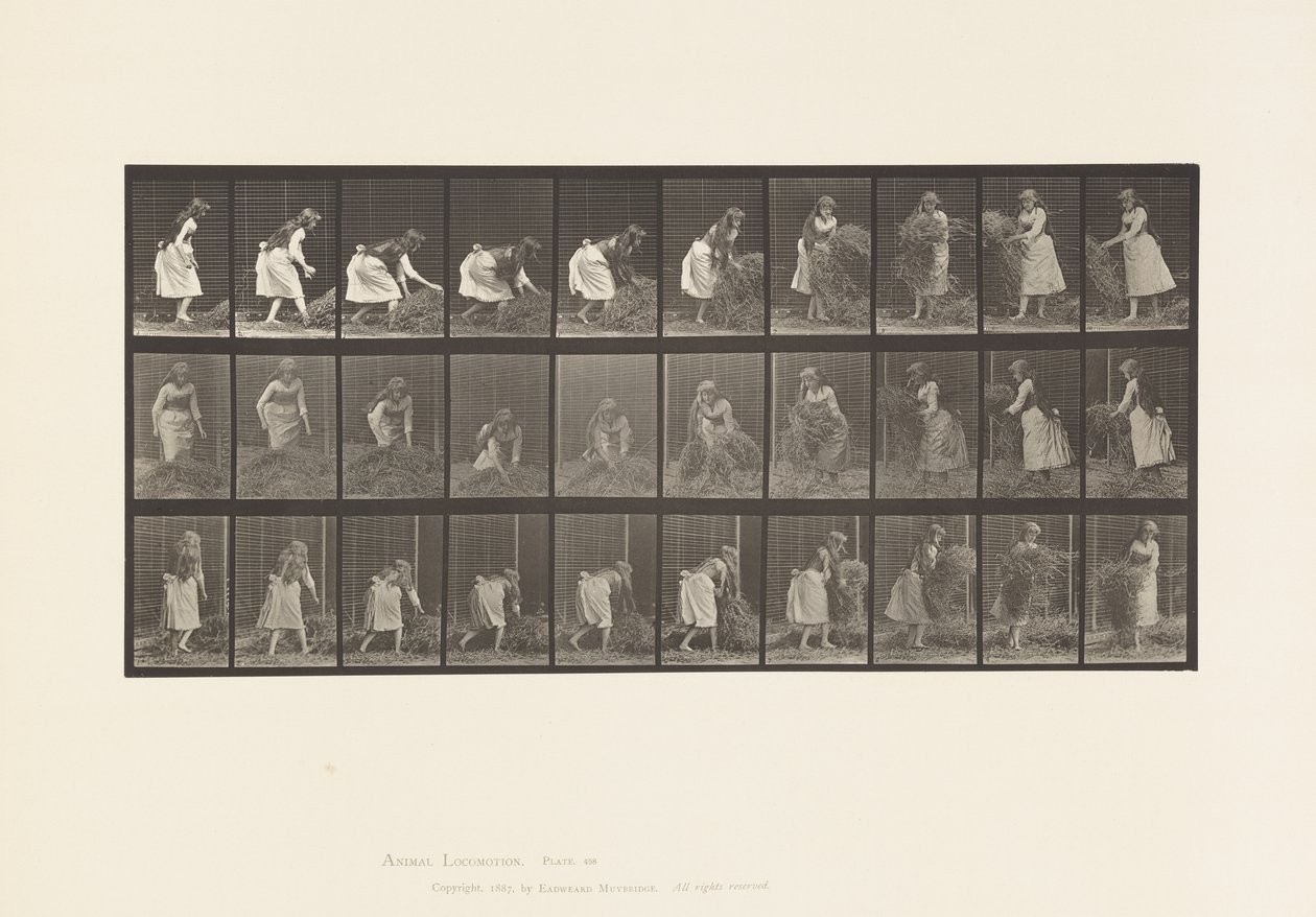 Prato 458. Levantamento de Feno, Virar, Atirar ao chão. de Eadweard Muybridge