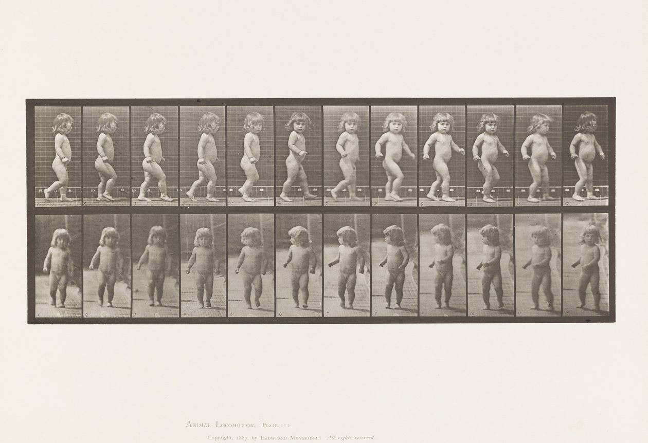 Prato 468. Criança, Caminhando de Eadweard Muybridge