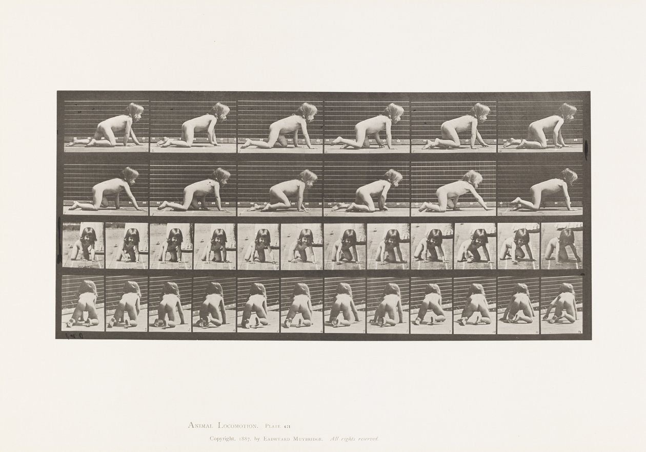 Placa 471. Criança, Rastejando de Mãos e Joelhos, 1885 de Eadweard Muybridge