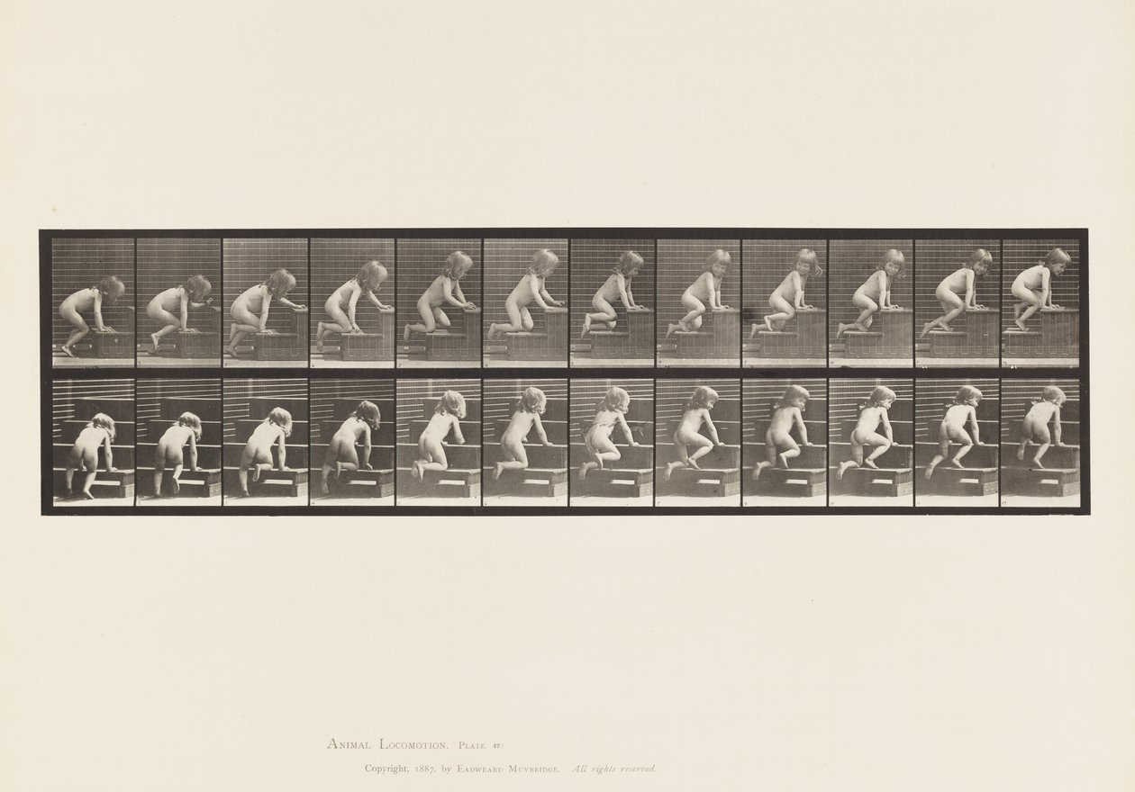 Placa 472.Criança, Rastejando Para Cima, 1885 (collotype no papel) de Eadweard Muybridge