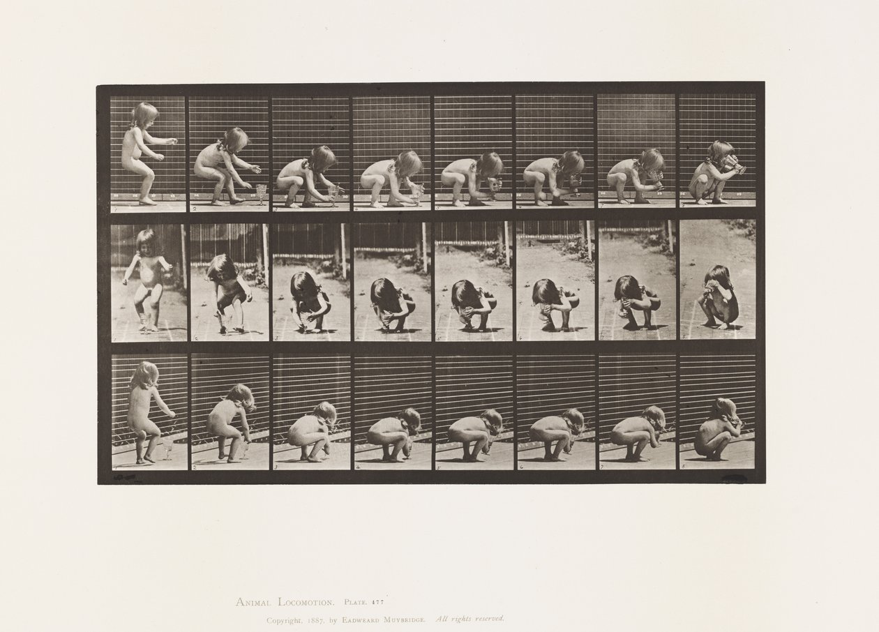 Prato 477. Criança, Inclinação, Levantar uma taça, e Beber de Eadweard Muybridge