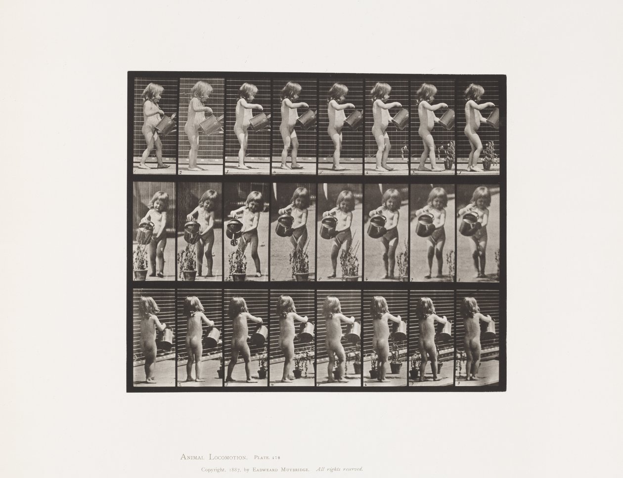 Placa 478.Child, polvilhando a água sobre algumas flores, 1885 de Eadweard Muybridge
