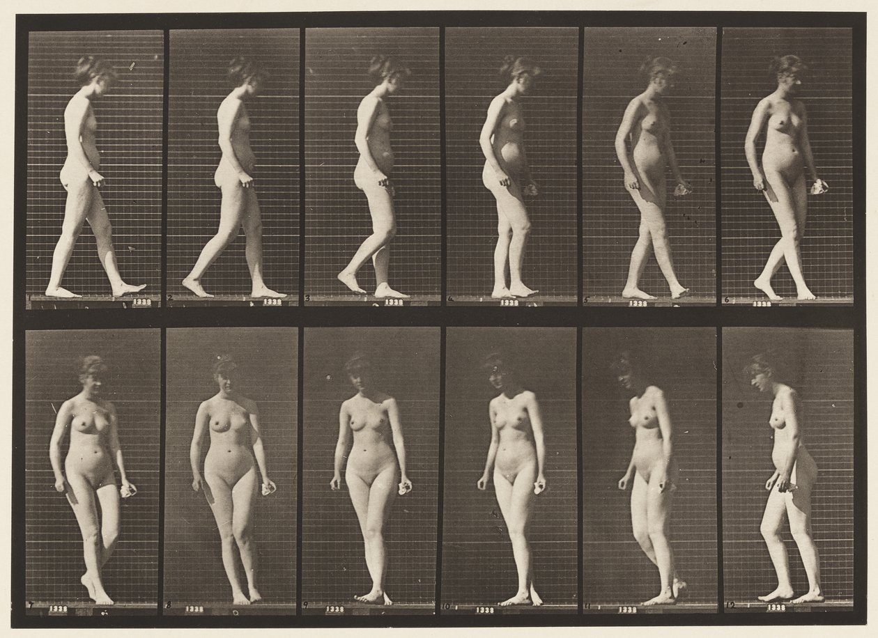 Placa 47. Caminhando e dando meia-volta de Eadweard Muybridge