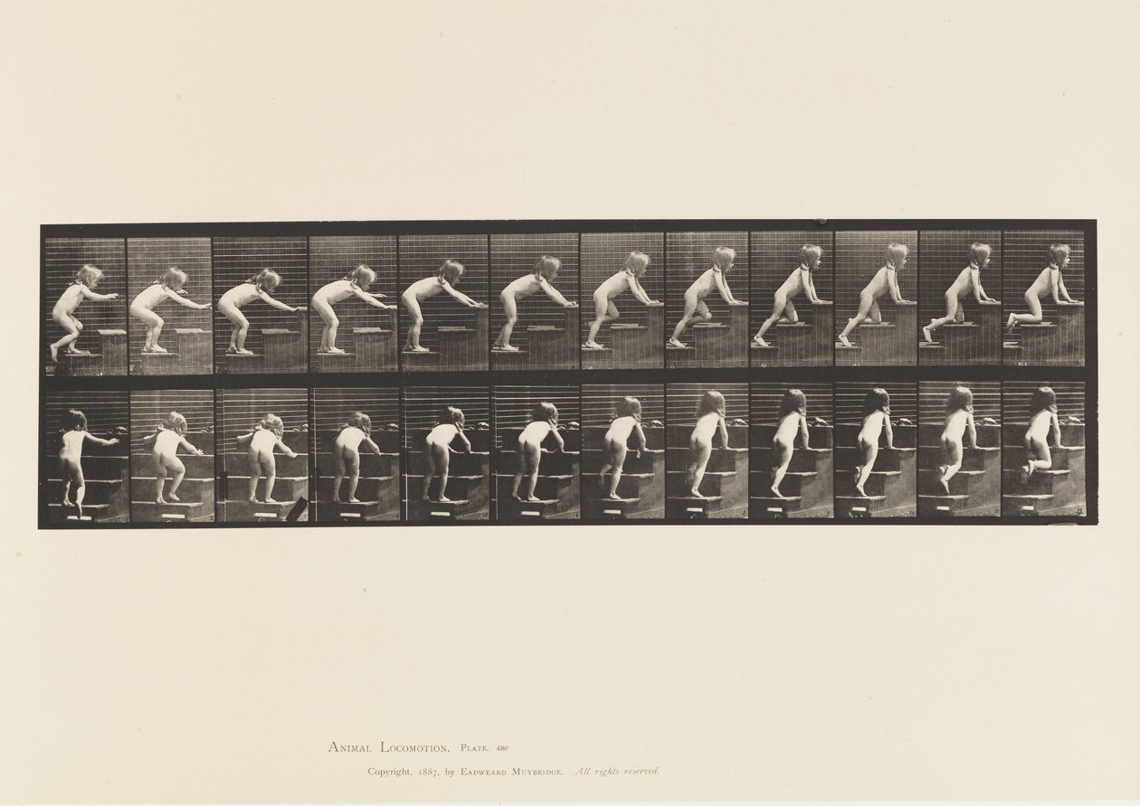 Placa 480. Criança, andando e rastejando lá em cima de Eadweard Muybridge