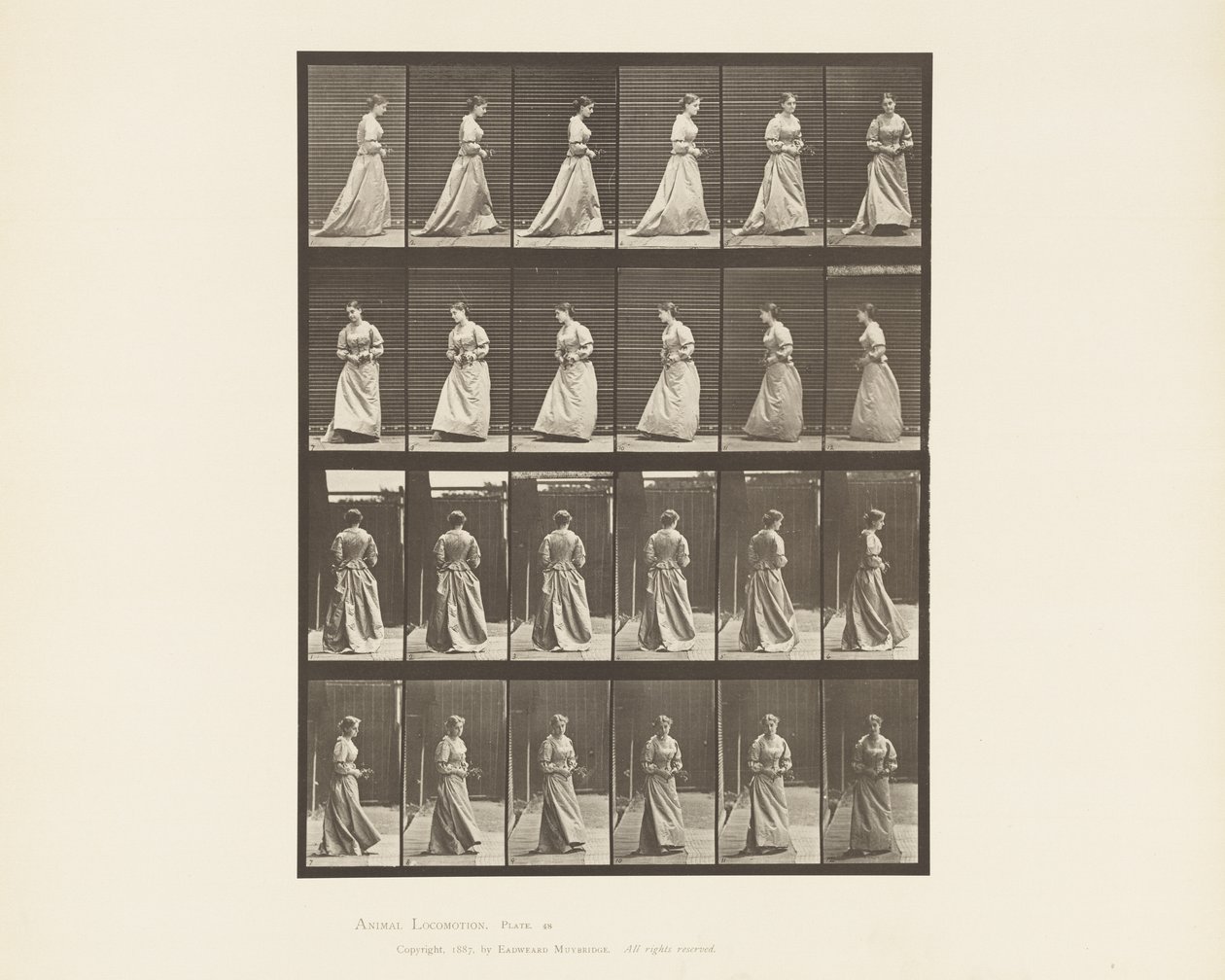 Placa 48. Andando e girando em torno do buquê em ambas as mãos, 1885 de Eadweard Muybridge
