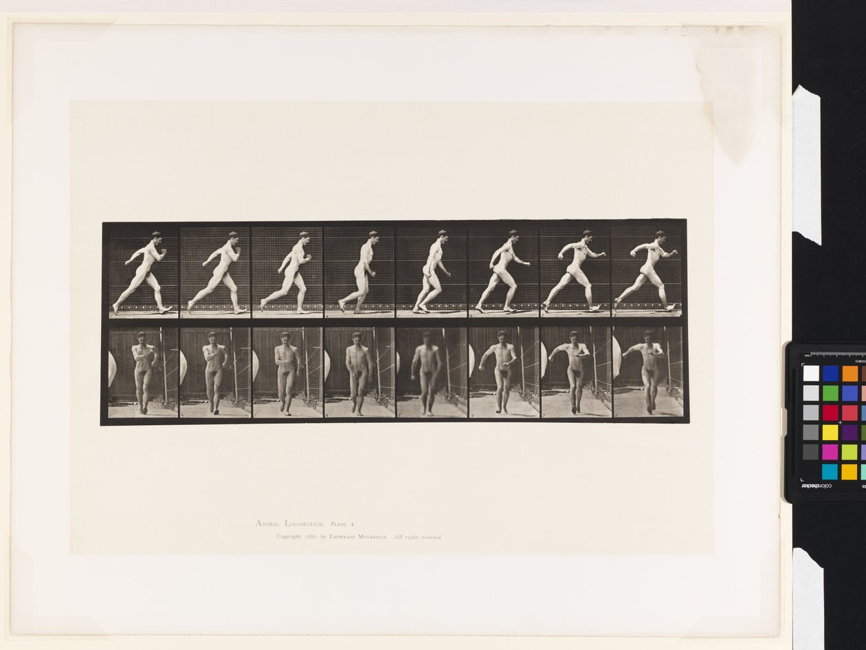 Placa 4. Caminhando de Eadweard Muybridge