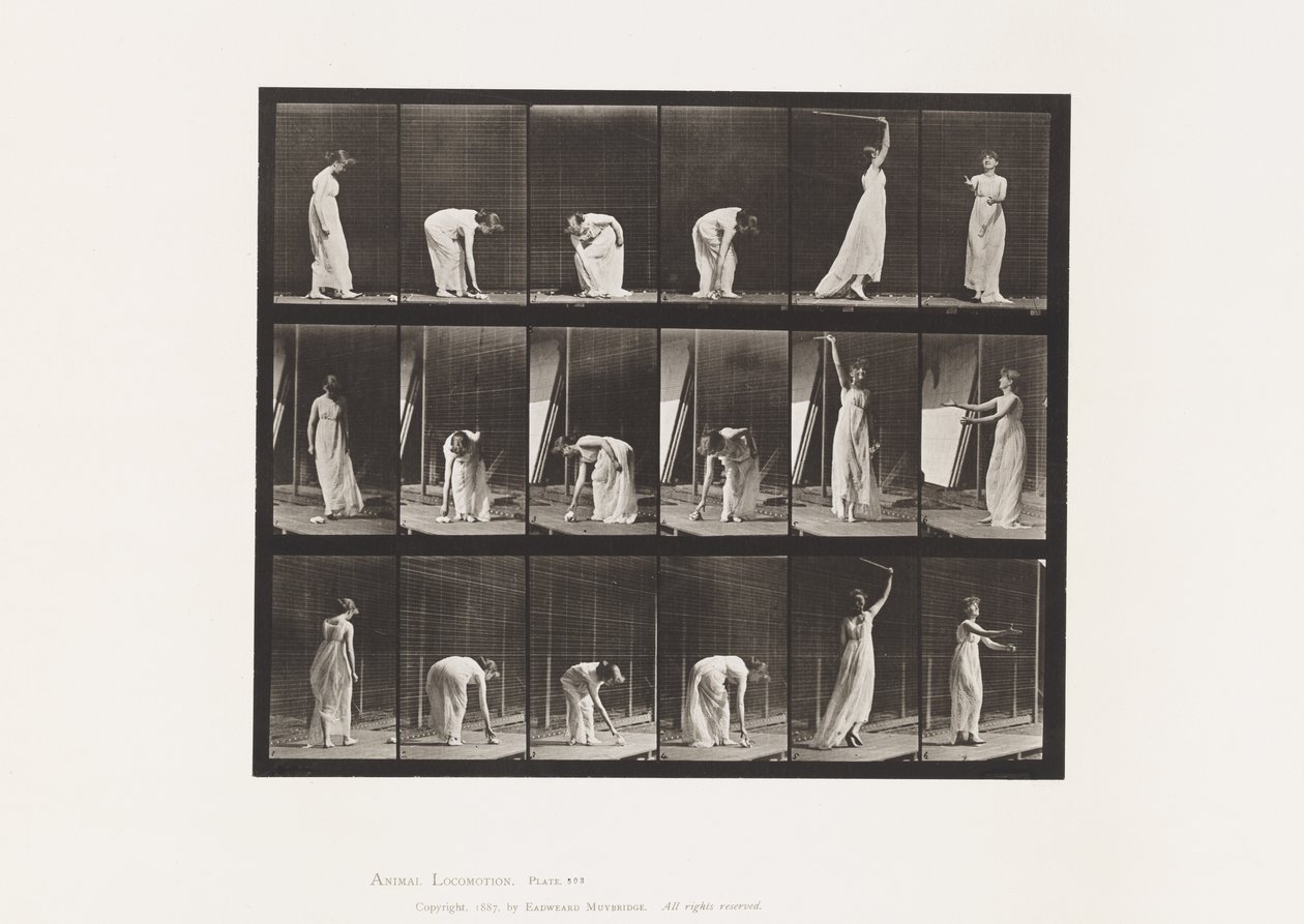 Prato 503. Miscelânea - Inclinação, etc de Eadweard Muybridge