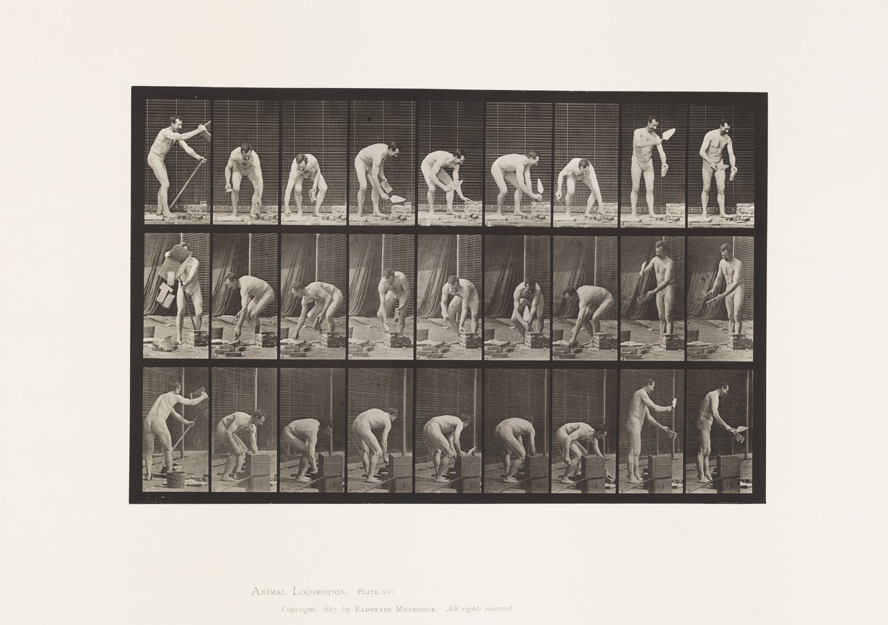 Placa 505. Assentamento de tijolos de Eadweard Muybridge