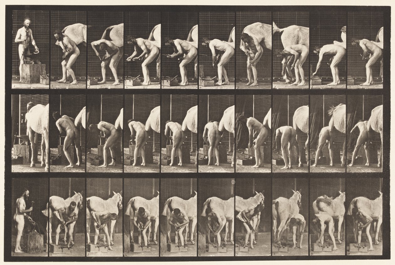 Placa 508. Calçando um Cavalo de Eadweard Muybridge