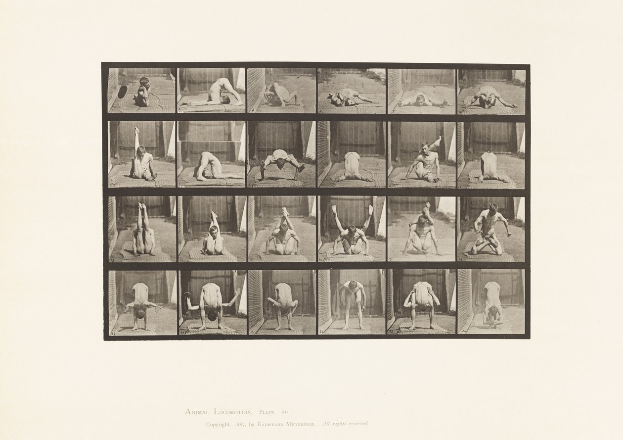 Placa 511. Contorções no solo de Eadweard Muybridge