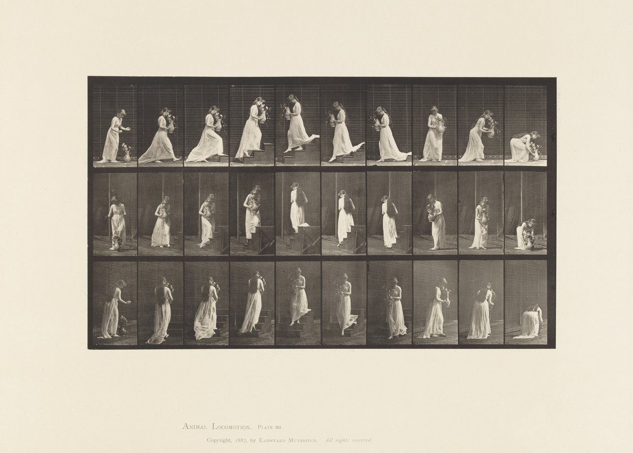 Placa 515. Escadas ascendentes e descendentes, etc., 1885 de Eadweard Muybridge