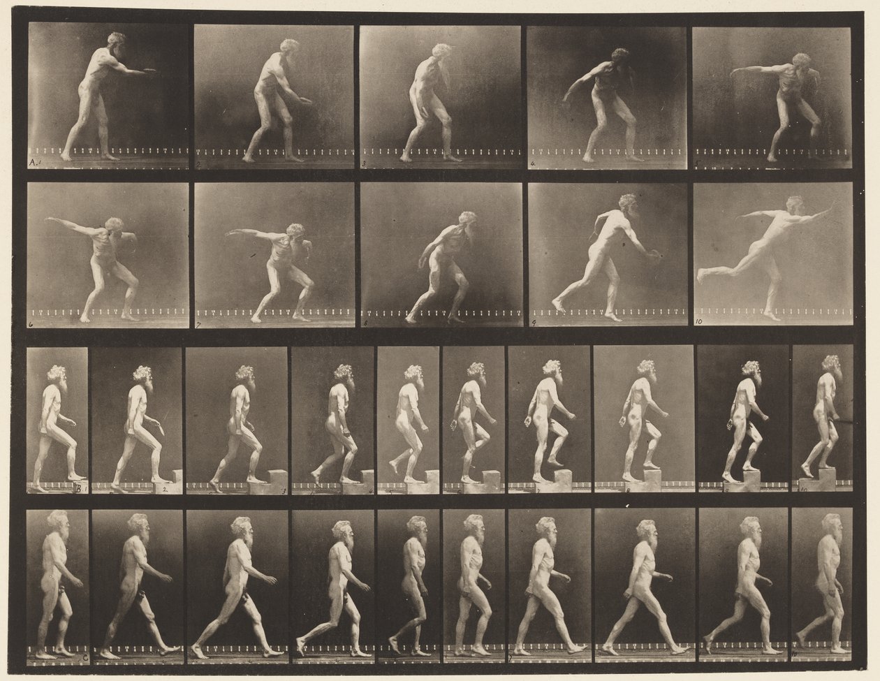 Ilustração 519. A, Throwing Disk; B, Etapas Ascendentes; C, andando., 1872-1885 de Eadweard Muybridge