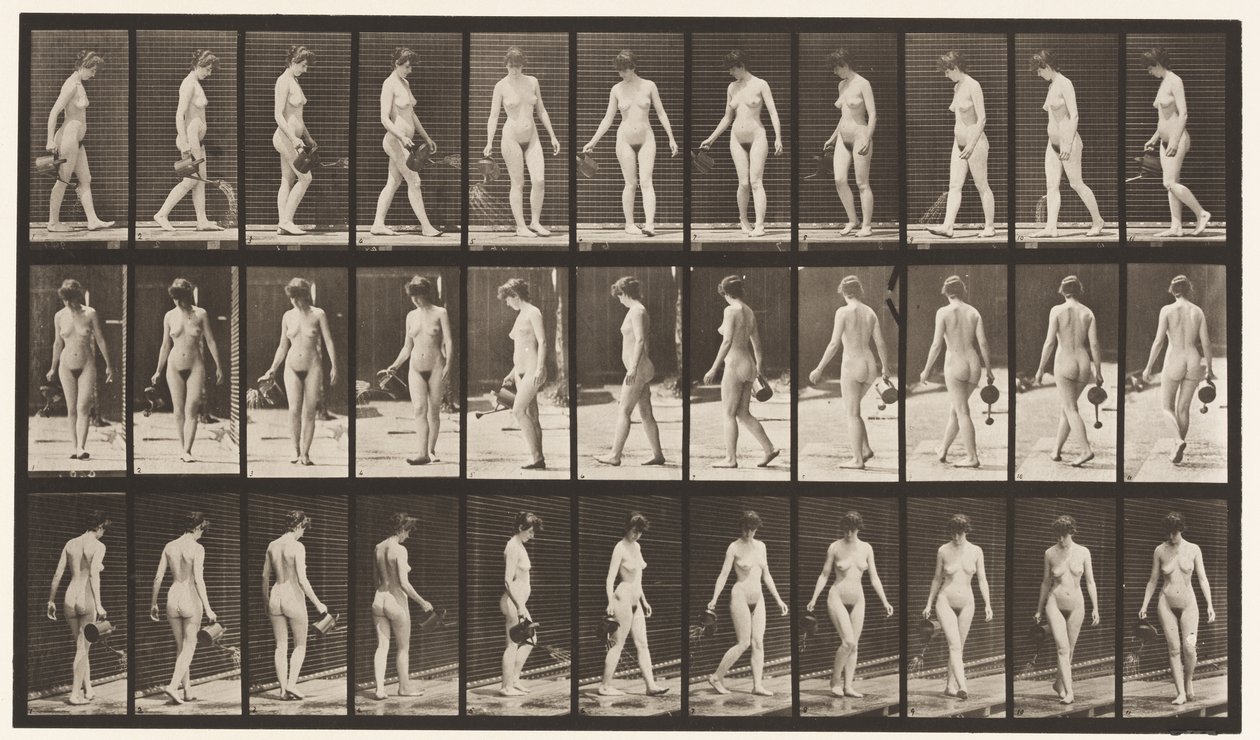 Placa 51. Andando e Virando-se, Usando Pote de Aspersão, 1872-1885 de Eadweard Muybridge