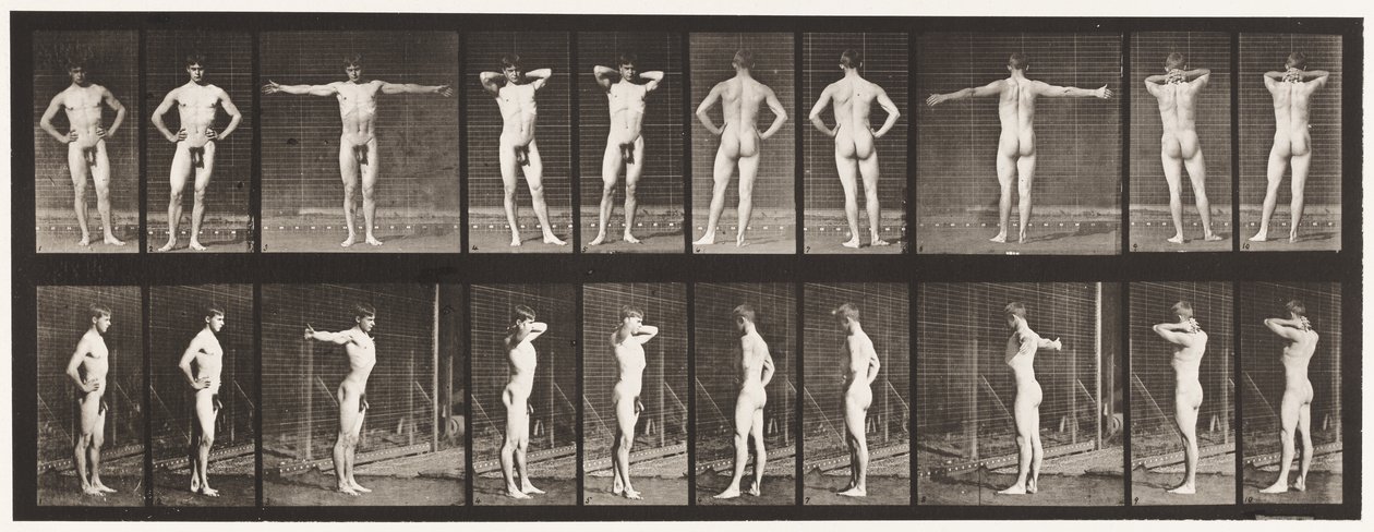 Placa 529. Várias Poses de Eadweard Muybridge