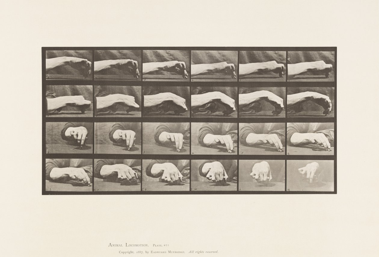 Placa 532. Movimento da Mão; Desenhando um círculo, 1885 de Eadweard Muybridge