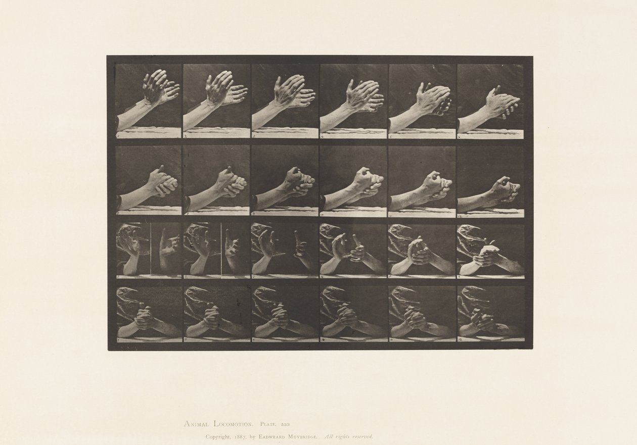 Placa 533. Movimento da Mão; Clasping Hands, 1885 de Eadweard Muybridge