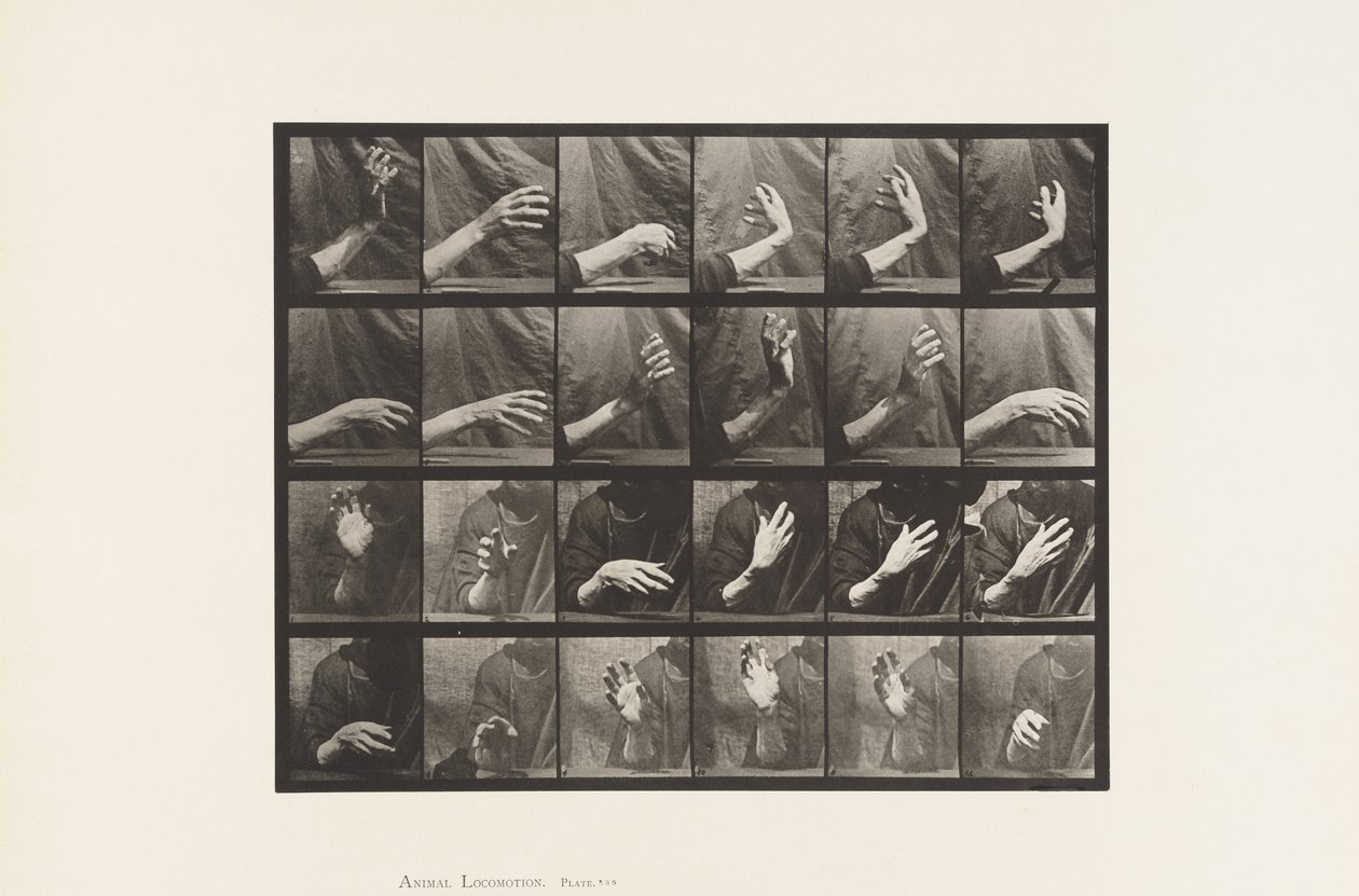 Placa 535. Movimento da Mão; Tempo Batendo, 1885 de Eadweard Muybridge