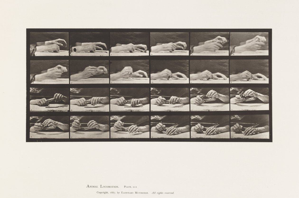 Prato 536. Movimento da Mão; Lápis de Troca de Mãos de Eadweard Muybridge