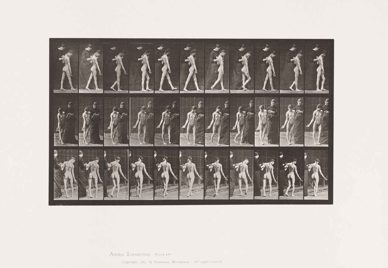 Prato 541. Esclerose Múltipla Cerebro-espinhal (Coreica); Caminhada de Eadweard Muybridge