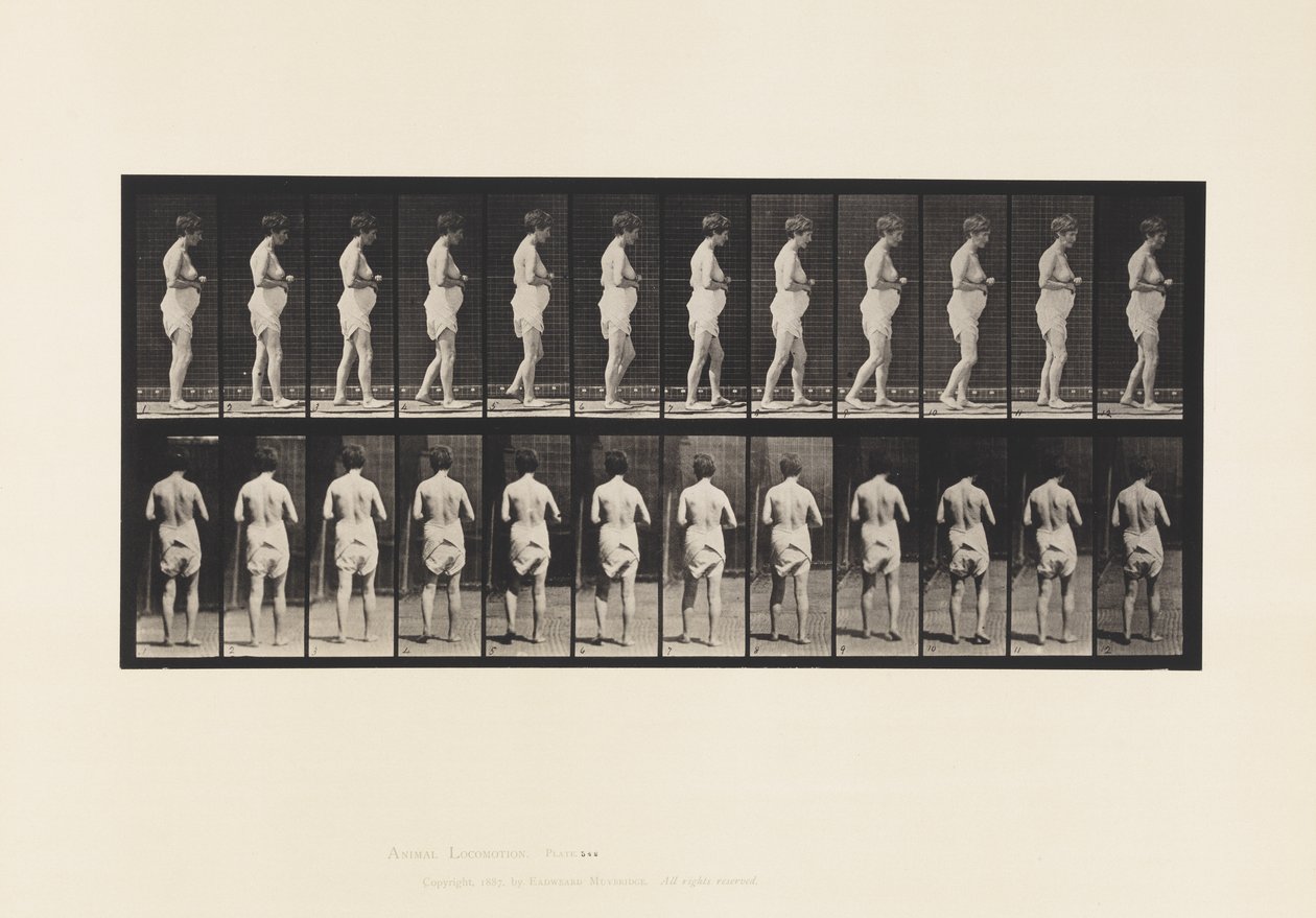 Prato 542. Esclerose Múltipla Cerebro-espinhal - Andar de Eadweard Muybridge