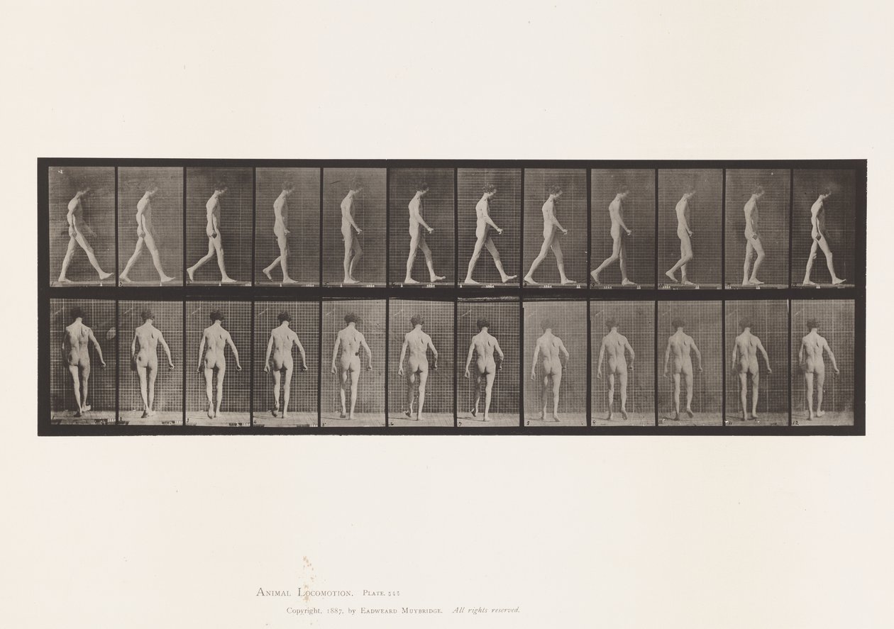 Placa 546. Ataxia do Locomotor; Andando, 1885 de Eadweard Muybridge