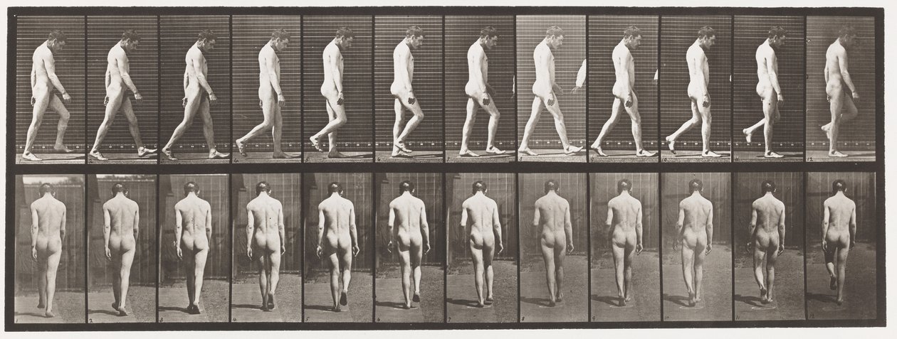 Placa 549.Epilepsia; Andando, 1885 de Eadweard Muybridge