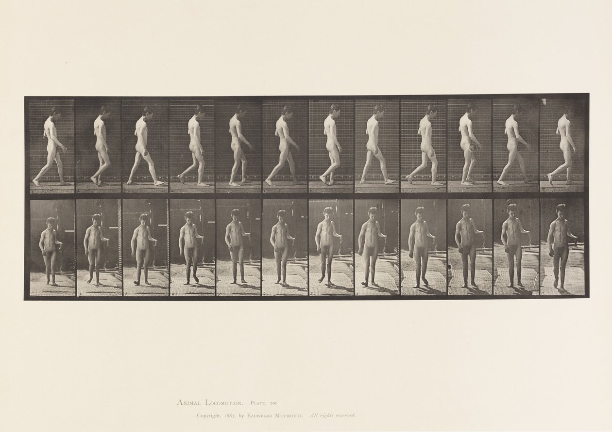 Placa 551.Epilepsia; Andando, 1885 de Eadweard Muybridge