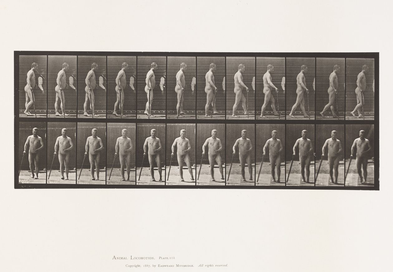 Placa 552. Hipliplia; Andando com cana, 1885 de Eadweard Muybridge