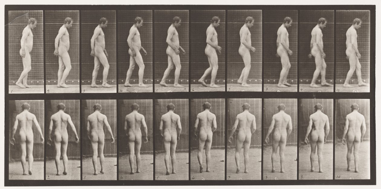 Placa 553.Após o Traumatismo da Cabeça; Andando, 1885 de Eadweard Muybridge