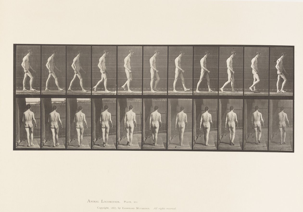 Placa 554. Ataxia do Locomotor; Andando, 1885 de Eadweard Muybridge