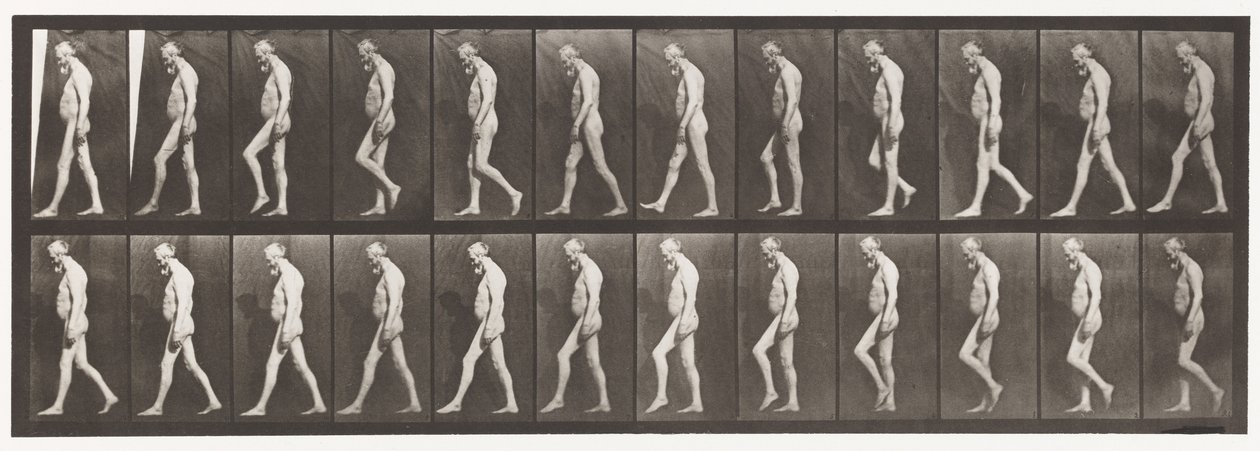 Placa 555. Atrofia Muscular das Pernas; Adulto, A, B, Andando, 1885 de Eadweard Muybridge