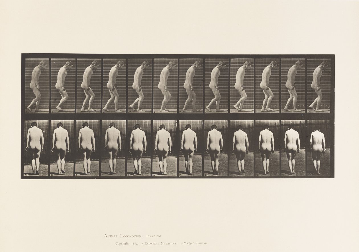Placa 558.Paraplegia; Parcial; Andando, 1885 de Eadweard Muybridge