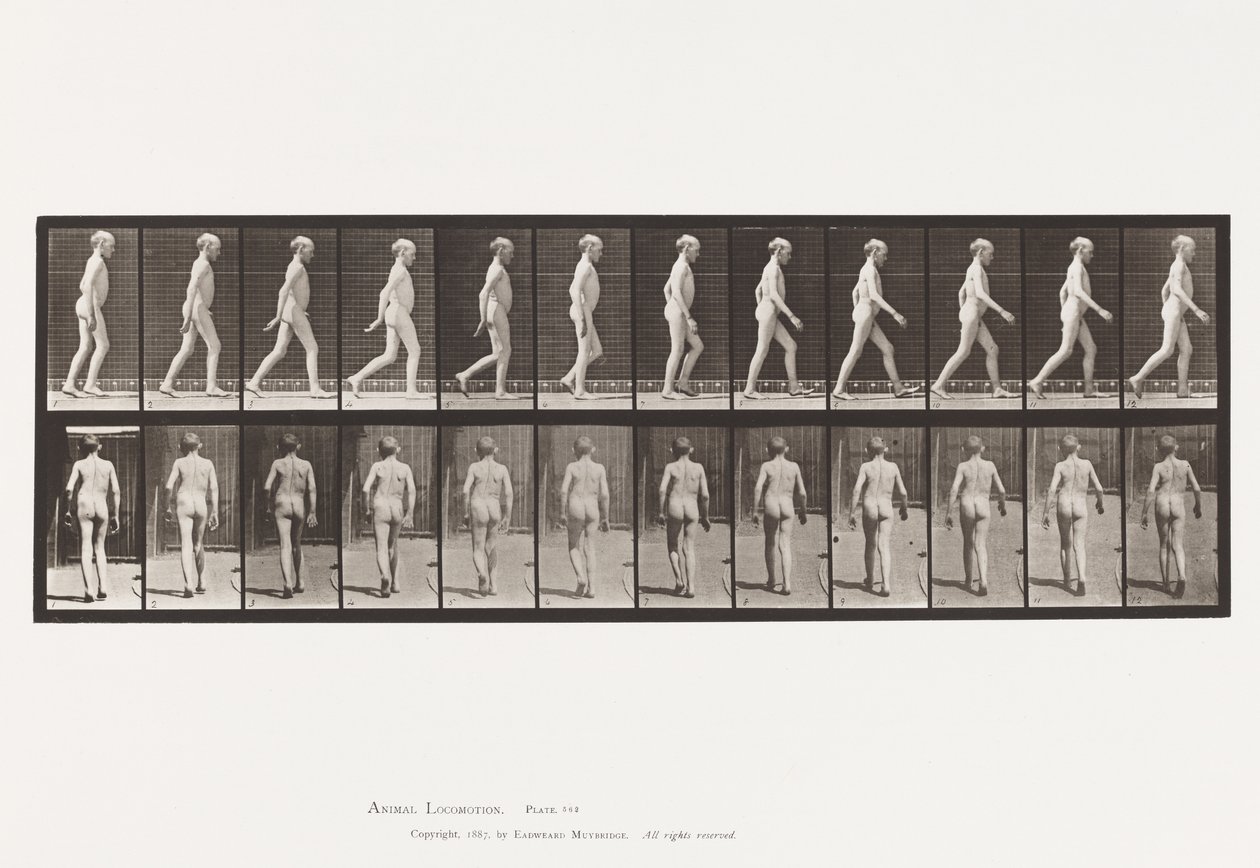 Prato 562. Curvatura Lateral da Coluna Vertebral; Caminhada de Eadweard Muybridge