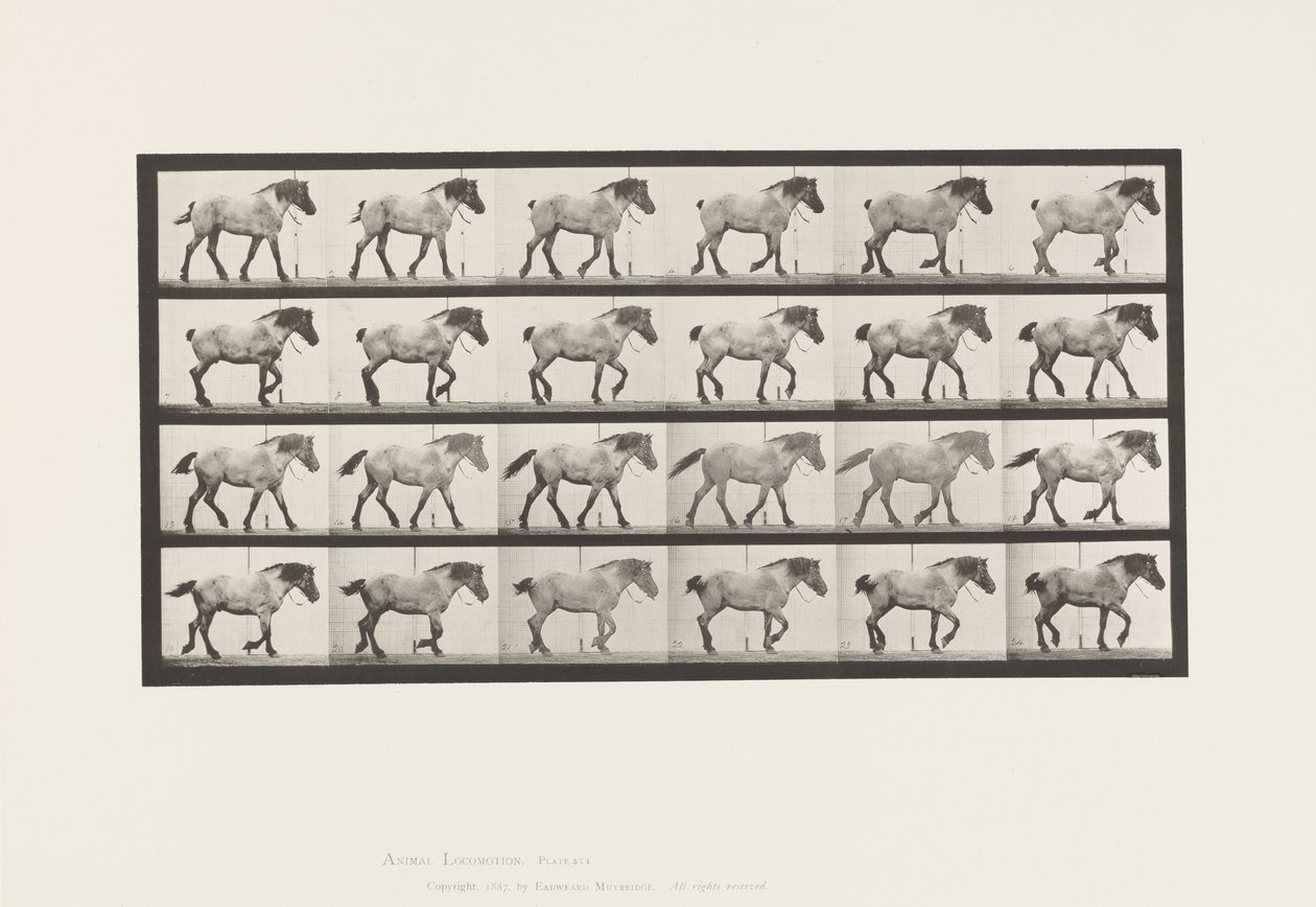 Placa 574. Andar; Livre; Cavalo Belga Cinza Escuro Hansel, 1885 de Eadweard Muybridge