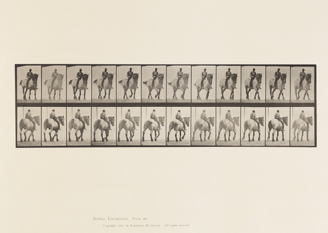 Prato 578.Caminhada; Costas Desprotegidas; Pusel de Cavalo Belga Cinzento Escuro de Eadweard Muybridge