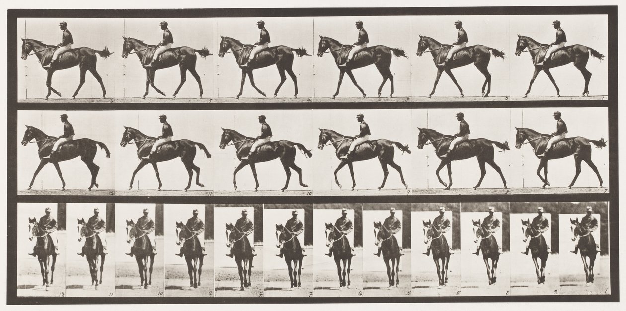 Placa 580. Andar; Selim; Baía de puro-sangue Mare Annie G., 1885 de Eadweard Muybridge