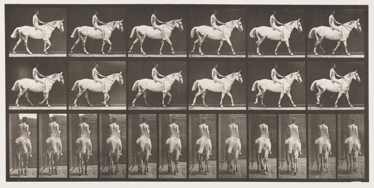 Placa 581.Walking; Bareback; Rider, 43, Nude; Cavaleiro Cinzento Claro, 1885 de Eadweard Muybridge