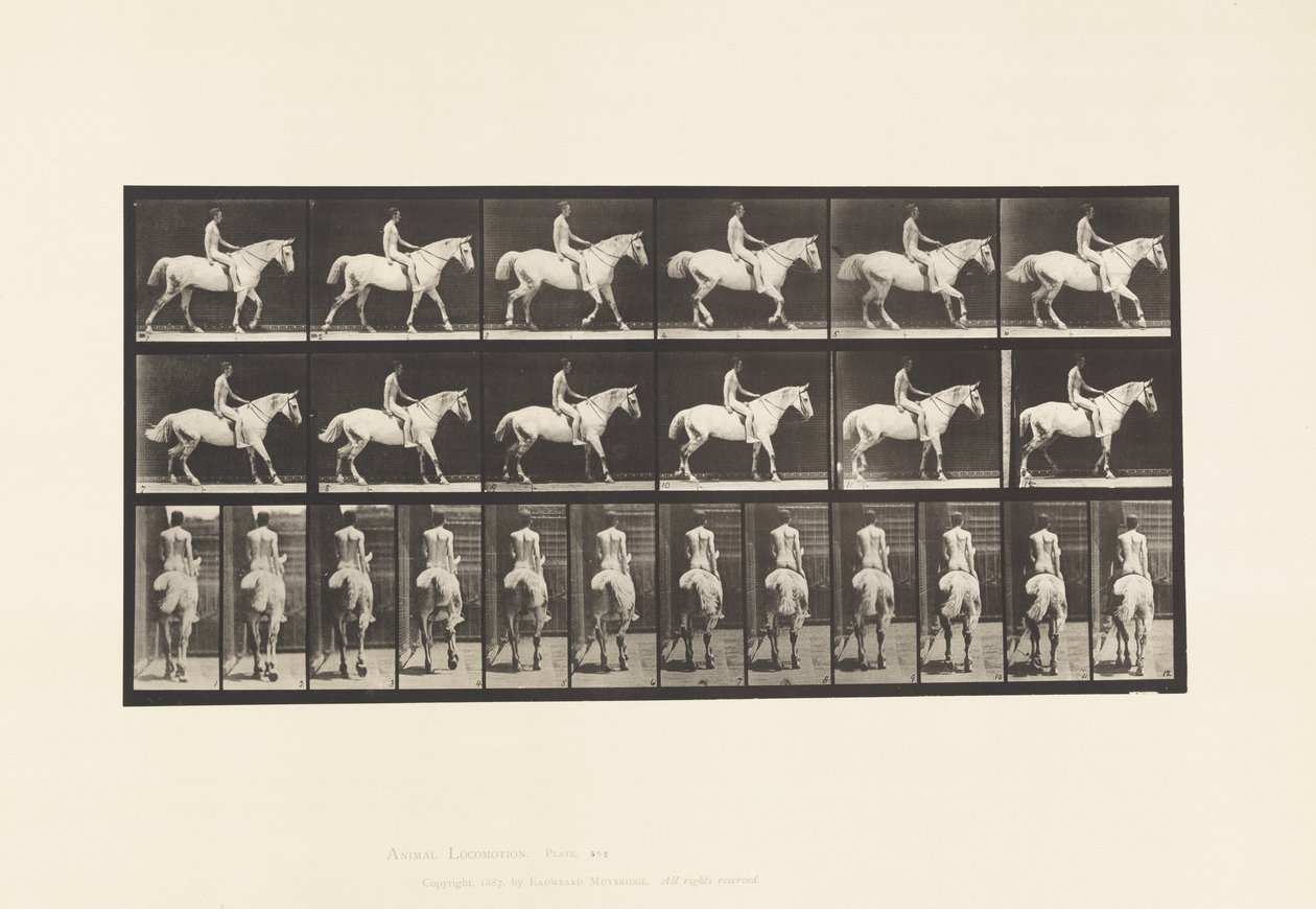 Prato 582. Andar; Sela; Cavaleiro, 43, Nu; Smith Cavalo Cinzento Claro de Eadweard Muybridge
