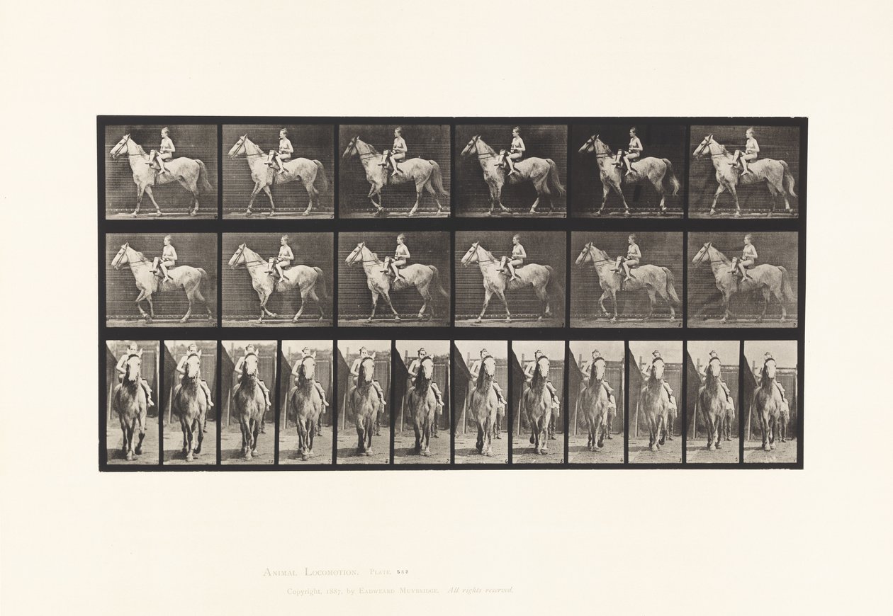 Placa 583. Andar; Selim; Cavaleiro Feminino; Nu; Cavalo Cinzento Tan, 1885 de Eadweard Muybridge