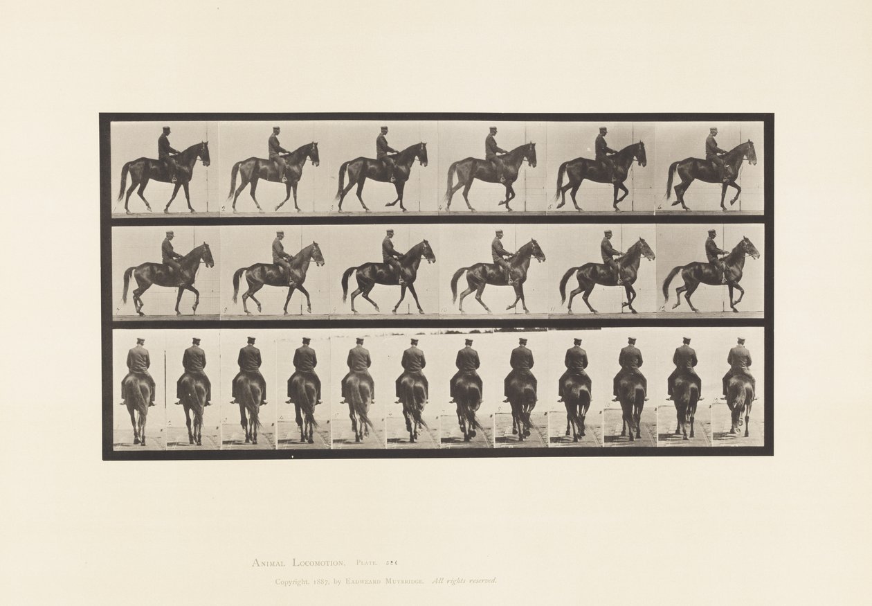 Placa 584.Walking; Selim; Irregular; Beleza da égua castanha, 1885 de Eadweard Muybridge