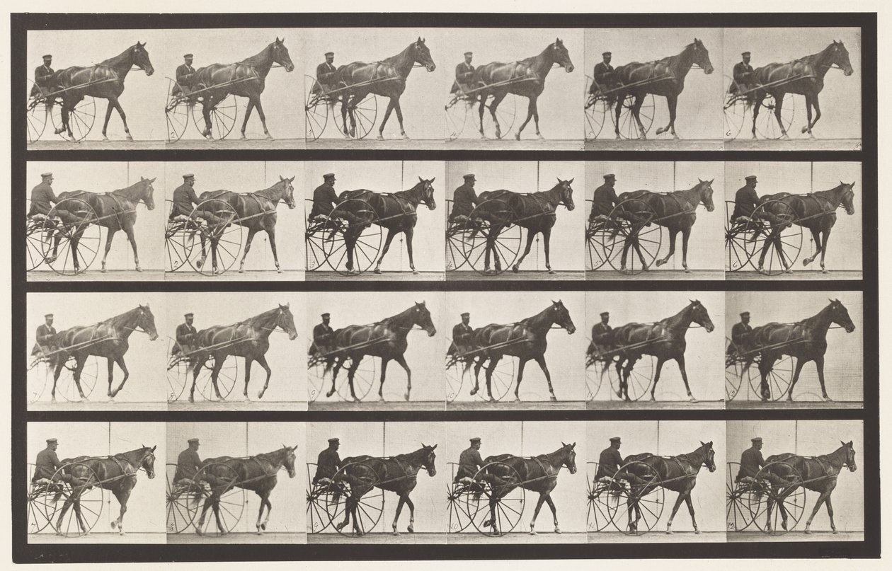 Placa 587. Andar; Sulky; Sorrel Mare Nellie Rose, 1885 de Eadweard Muybridge