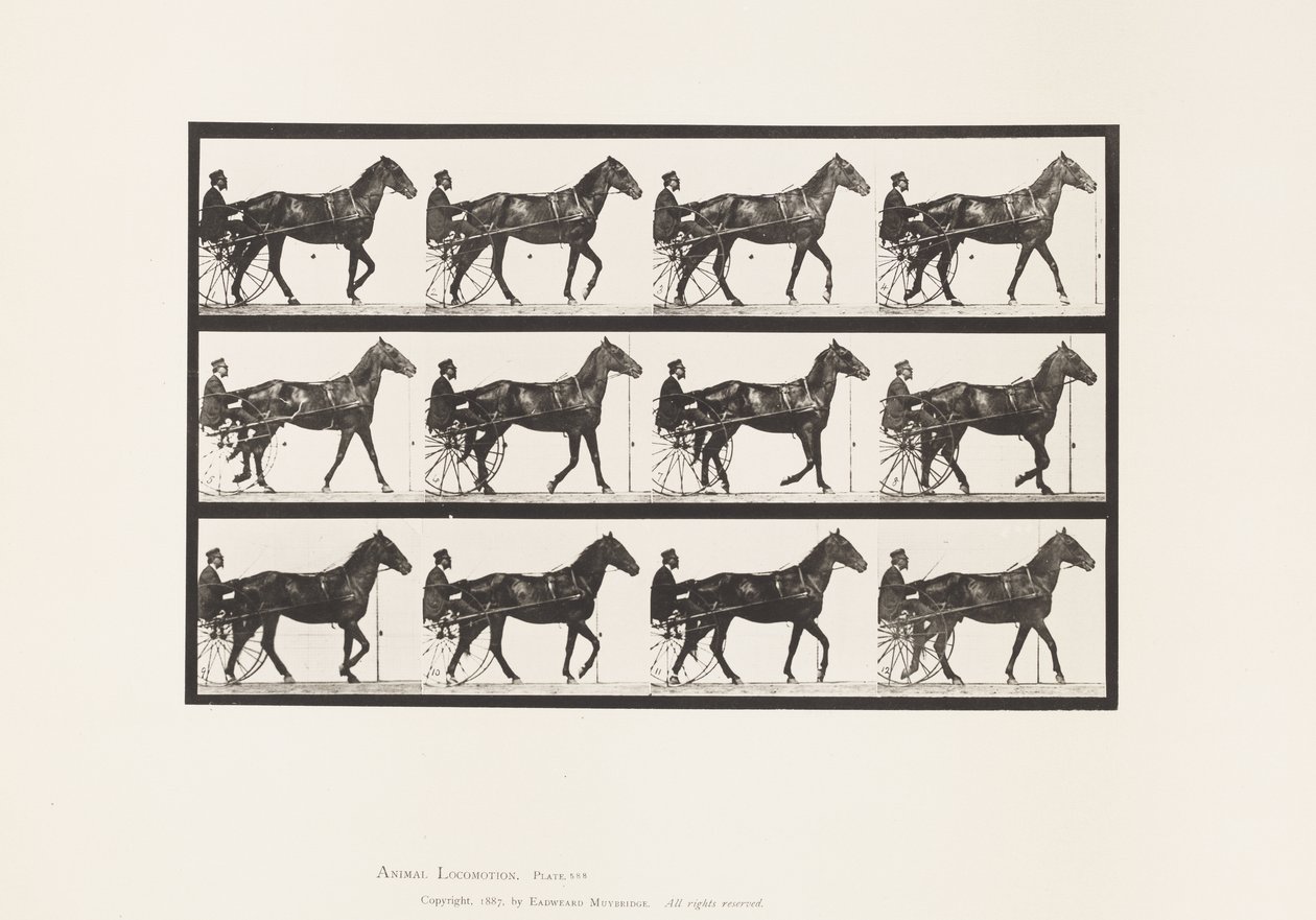 Placa 588. Andar; Sulky; Cavalo de Baía Reuben, 1885 de Eadweard Muybridge