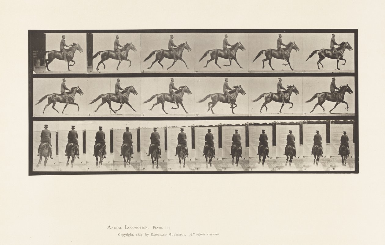 Prato 592. Rocking (Embalagem): Sela; Cavalo Castanho Pronto de Eadweard Muybridge