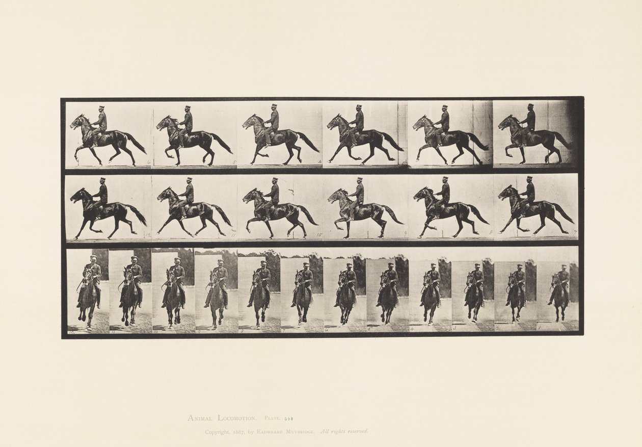 Prato 593. Rocking (Embalagem): Sela; Cavalo Castanho Pronto de Eadweard Muybridge
