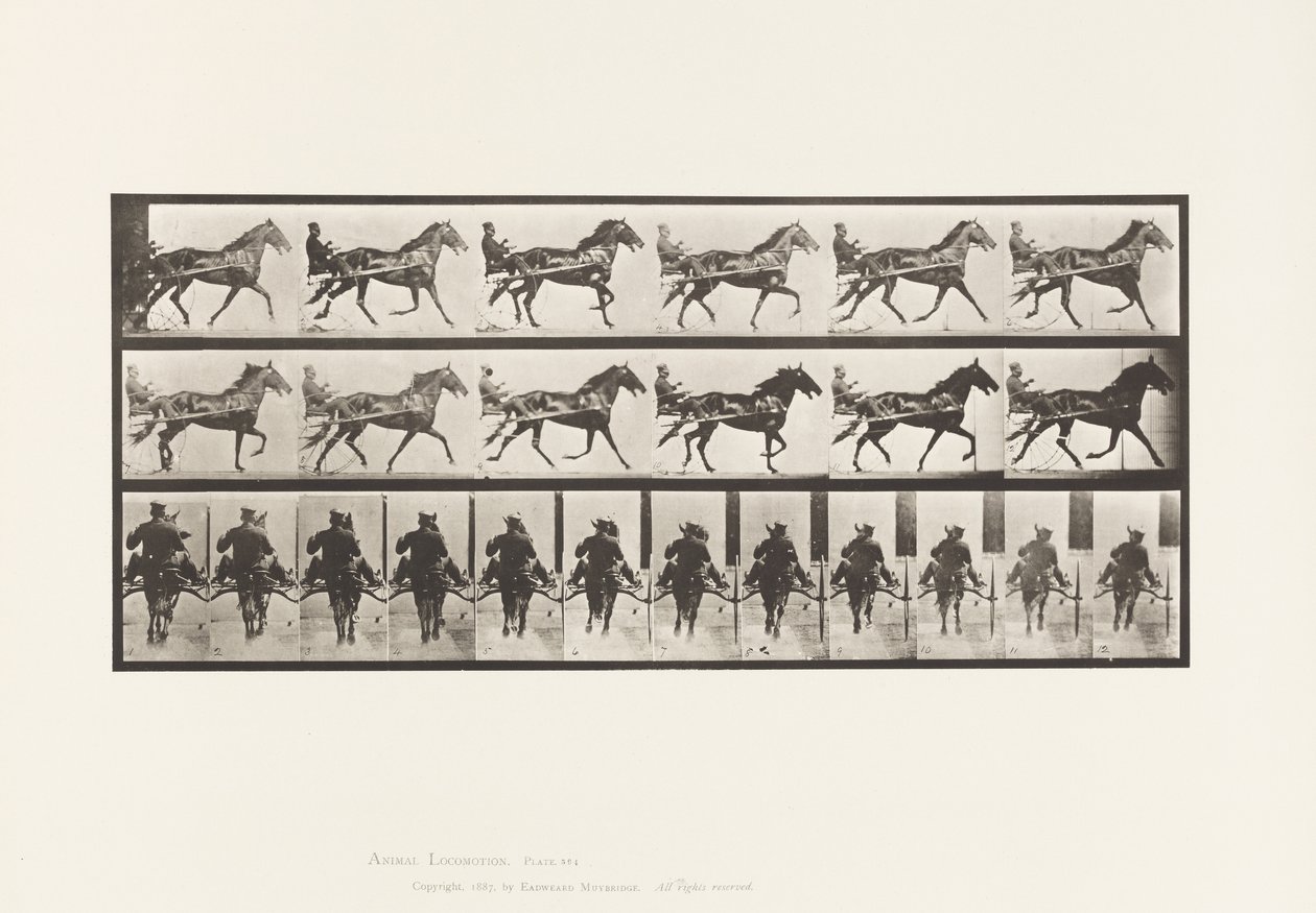 Prato 594. Rocking (Embalagem): Sulky; Brown Horse Pronto de Eadweard Muybridge