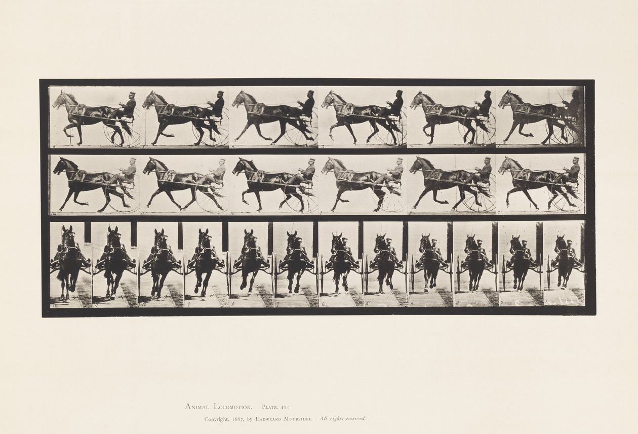 Prato 595. Rocking (Embalagem): Sulky; Brown Horse Pronto de Eadweard Muybridge