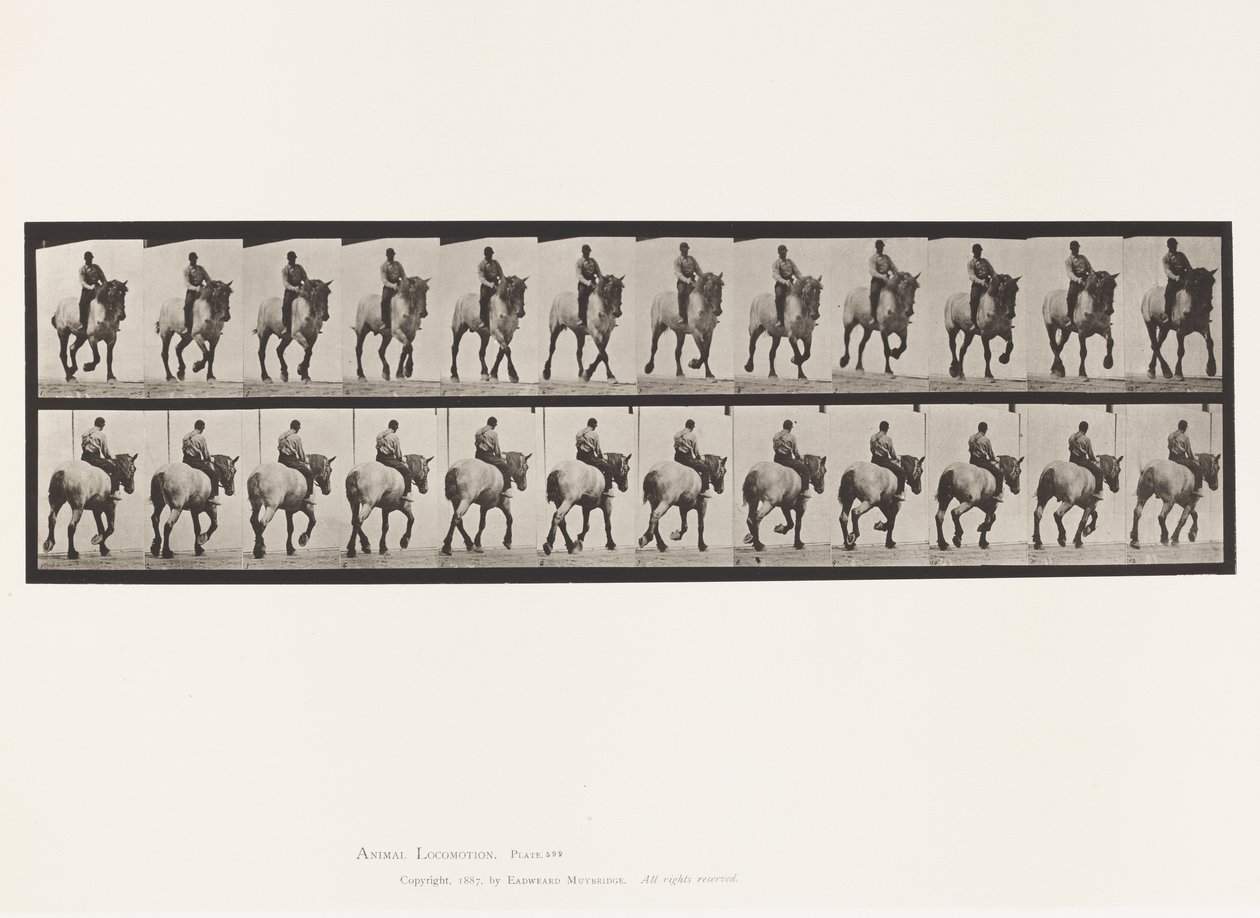 Prato 599. Trotando; Bareback; Dusel Cinzento Escuro de Eadweard Muybridge
